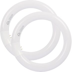8 inch T9 22 Watts Round Light Bulbs FC8T9/DX Circular Fluorescent Light Bulb, FC8T9/DL 22W Circline Bulb, Daylight 6400K, G10q 4 Pin Prong Base, 2 Pack