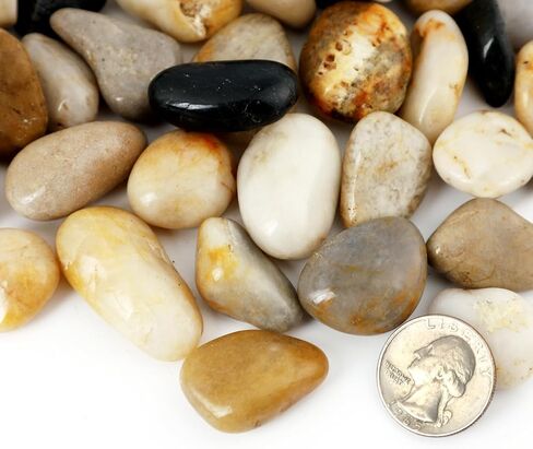 11LB Polished River Rocks for Plants with Mixed Colors 1/4-5/8Inch Decorative Natural River Stones Pebbles for Outdoor Small Stones Gravels for Home Decoration in Saudi Arabia