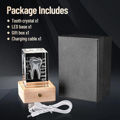نموذج أسنان بشري ثلاثي الأبعاد من eLabPal، زجاج كريستالي، هدايا لأطباء الأسنان، قاعدة خشبية مع ضوء أصفر، هدية رائعة لتزيين المنزل والمكتب (2 × 2 × 3.15 بوصة) in Kuwait