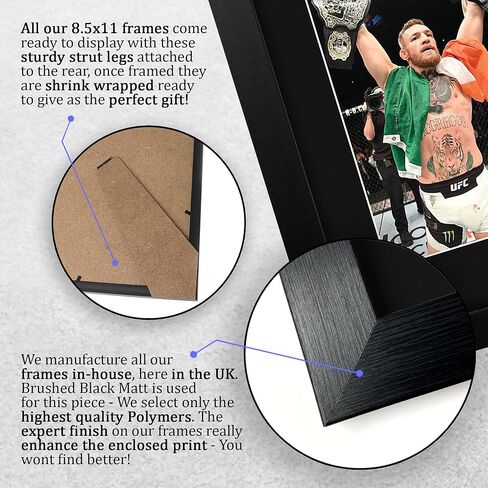 HWC Trading Conor McGregor هدية مؤطرة موقعة مطبوعة بتوقيع UFC عرض صورة مطبوعة - مقاس حرف أمريكي in Kuwait