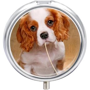 Round Metal Pill Box, 3 Compartment Pill Case, Small Pill Holder for Travel - Dog