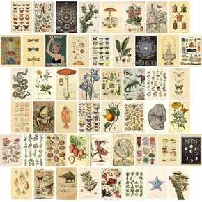 Haoran 50PCS Wall Collage Kit Aesthetic Pictures, Room Decor for Bedroom Aesthetic, Cute Indie Trendy Boujee Boho Green Posters for Room Aesthetic, Photo Pictures Collage Kit for Wall Aesthetic, in Saudi Arabia