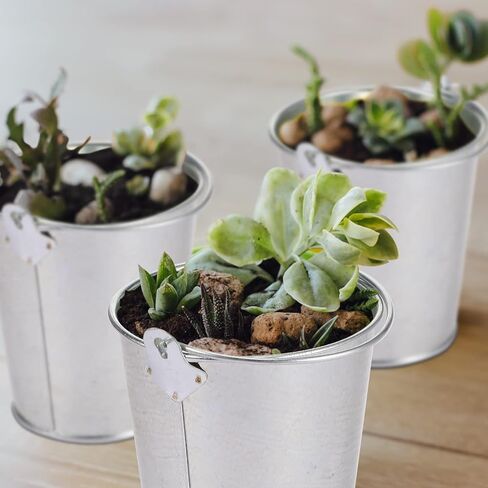 Mini Metal Buckets with Handles Galvanized Buckets 3.15 Inch Mini Container Buckets for Metal Tin Plant Holder Bucket Pail for Wedding Decoration Party Favor(White,28 Pcs) in Kuwait