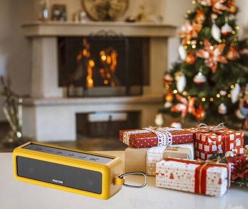 Raymate Bluetooth Speakers, HiFi Stereo Sound with DSP, 30W IPX7 Waterproof Speaker Wireless Bluetooth-V5.0, 1000mins Playtime, Portable Speaker for Home, Outdoor, Party in Saudi Arabia