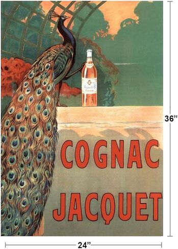 Le Chat Noir The Black Cat Vintage Advertisement Vintage Illustration Art Deco Vintage French Wall Art Nouveau 1920 French Advertising Vintage Poster Prints Cool Wall Art Print Poster 16x24 in Saudi Arabia