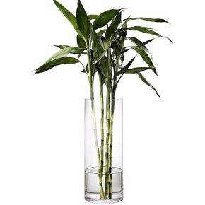 DARENYI Clear Glass Vase for Flowers, 12 inches Tall Cylinder Vase Large Flower Glass Vase, Decorative Floating Candle Holder Vase for Centerpiece, Living Room, Office, Wedding or Gifts