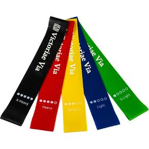 Resistance Loop Exercise Bands for Workout, Physical Therapy Bands for Strength Training, Stretch Elastic Band, 5 Pcs Set with Carry Bag