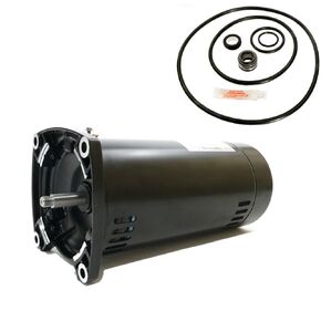 Puri Tech Replacement Motor Kit for Sta-Rite Max-E-Glas II 1HP P4EA6E-150L AO Smith USQ1102 w/ GO-KIT-38