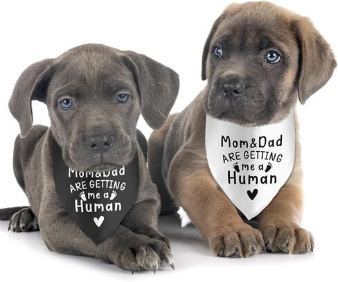 2 Pack It's a Boy It's a Girl Gender Reveal Baby Announcement Dog Bandana for Dogs Pet Accessories for Dog Lovers Pregnancy Reveal Ideas in Saudi Arabia