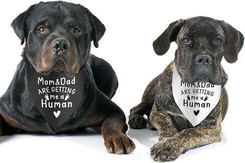 2 Pack It's a Boy It's a Girl Gender Reveal Baby Announcement Dog Bandana for Dogs Pet Accessories for Dog Lovers Pregnancy Reveal Ideas in Saudi Arabia