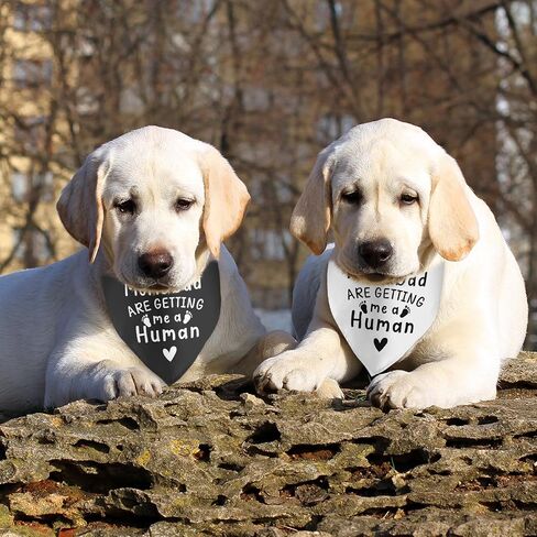 2 Pack It's a Boy It's a Girl Gender Reveal Baby Announcement Dog Bandana for Dogs Pet Accessories for Dog Lovers Pregnancy Reveal Ideas in Saudi Arabia