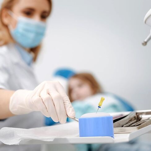 2 قطعة رف ملف قناة الجذر إندو ملف نظيف حامل حامل الإسفنج الملء حامل قابل للتعقيم الإسفنج الملء اللبية حامل إندو الدائري منتجات صندوق تعقيم ملف إندو in Kuwait