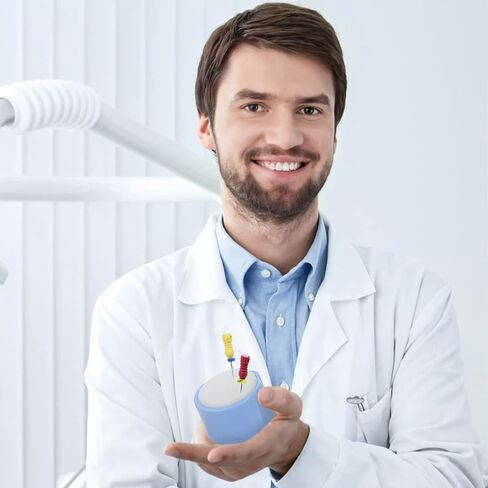 2 قطعة رف ملف قناة الجذر إندو ملف نظيف حامل حامل الإسفنج الملء حامل قابل للتعقيم الإسفنج الملء اللبية حامل إندو الدائري منتجات صندوق تعقيم ملف إندو in Kuwait