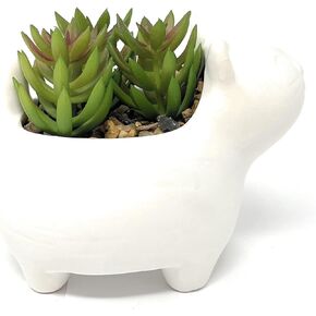 Nature's Mark 4.7" H Succulent in Cat White Ceramic Planter, Modern and Simple Stylish Design Artificial Plants