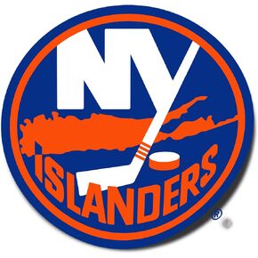 Desert Cactus New York Islanders Sticker Team NHL National Hockey League Vinyl Decal Laptop Water Bottle Car Scrapbook (Individual A)