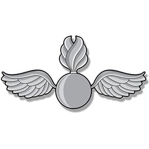 Navy Aviation Rating AO ORDNANCEMAN Logo Shaped Sticker (Naval Wings Vinyl Decal (2.5 x 5 inch) USN Licensed