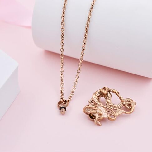 Dragon Urn Necklaces for Ashes Keepsake Jewelry Stainless Steel Cremation Ash Urn Necklace Memorial Jewelry Urn Pendant for Men Women in Saudi Arabia