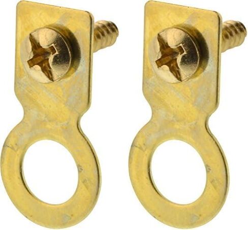 Hillman, Gold 122225 Flat Ring Hanger with Screw, Brass Plated, 1 Count (Pack of 1) in Saudi Arabia