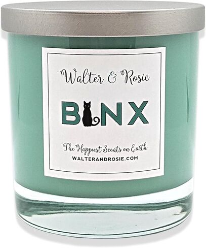 Walter & Rosie Candle Co. - الشمعة المعطرة ذات اللهب الأسود 11 أونصة مستوحاة من روائح ديزني - رائحة مستوحاة من الخزعبلات - الهالوين - أسعد الروائح على وجه الأرض - مزيج الصويا - ما يصل إلى 40 ساعة in Kuwait