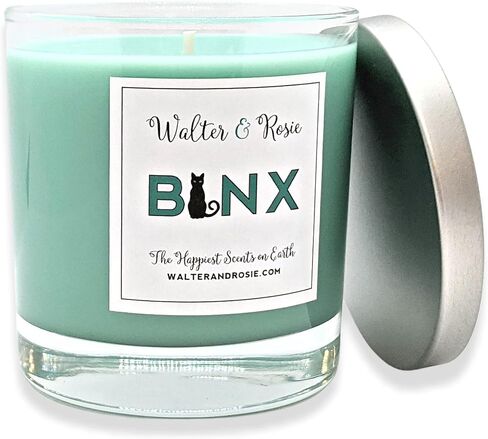 Walter & Rosie Candle Co. - الشمعة المعطرة ذات اللهب الأسود 11 أونصة مستوحاة من روائح ديزني - رائحة مستوحاة من الخزعبلات - الهالوين - أسعد الروائح على وجه الأرض - مزيج الصويا - ما يصل إلى 40 ساعة in Kuwait