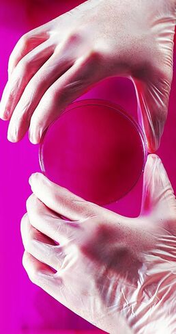 Adenna VPF238 VPF 3.5 mil Vinyl Powder Free Exam Gloves (Translucent, X-Large) Box of 90 in Saudi Arabia