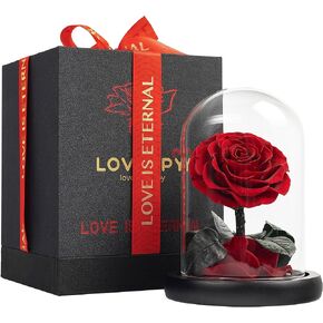 Eternal Flower in a Glass Dome: Preserved Rose - The Perfect Infinity Forever Rose Gift for Her on Valentine's Day, Mother's Day, Birthday, Anniversary, Wedding, and Christmas (9 inch)