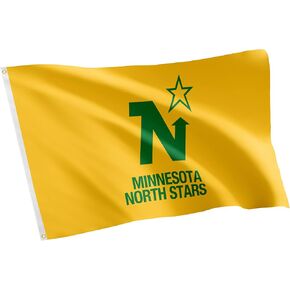 Desert Cactus Minnesota North Stars Flag NHL 100% Polyester Indoor Outdoor 3x5 feet National Hockey League Team Flags (Vintage Flag #1)