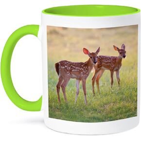 3dRose White-Tailed Deer Odocoileus Virginians Fawn Texas Usa Two Tone Mug, 11 oz, Multicolor