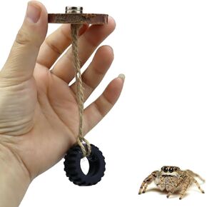 2 Pack Jumping Spider Swing with Magnets for Spoods Pet Spider Jumping Spider Hide Jumping Spider Enclosure Accessories