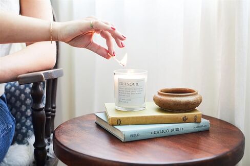 Paddywax Scented Candles Mood Collection Fragrant Boxed Candle in Glass Vessel, 8-Ounce, Nostalgia in Saudi Arabia