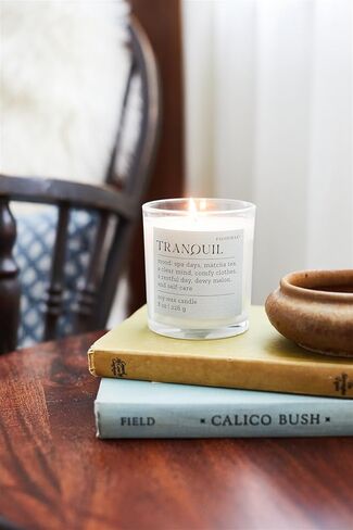 Paddywax Scented Candles Mood Collection Fragrant Boxed Candle in Glass Vessel, 8-Ounce, Nostalgia in Saudi Arabia