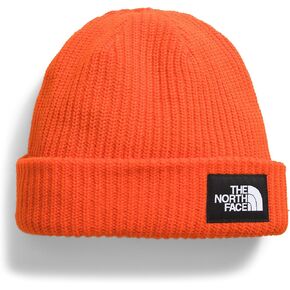 THE NORTH FACE Salty Lined Beanie