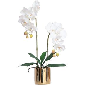 Artificial Orchid Flowers Set Fake Phalaenopsis Flower Faux Butterfly Orchid Real Touch Orchid for Wedding Home Office Party Hotel Yard Decoration Restaurant