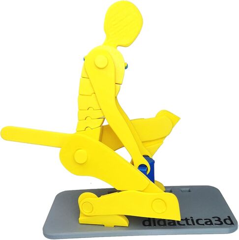Didactica3d, Correct Lifting Model, Demonstration Figure, Anatomy (Mini White) in Saudi Arabia