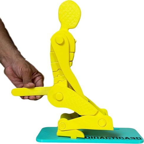 Didactica3d, Correct Lifting Model, Demonstration Figure, Anatomy (Mini White) in Saudi Arabia