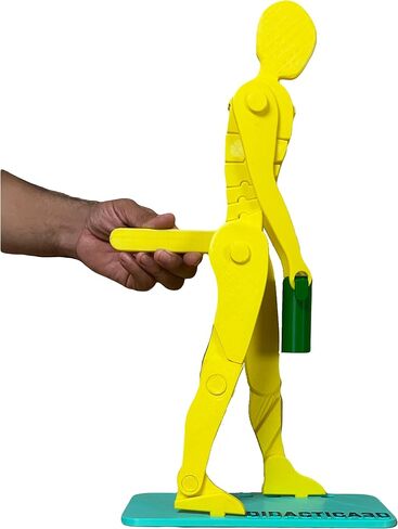 Didactica3d, Correct Lifting Model, Demonstration Figure, Anatomy (Mini White) in Saudi Arabia