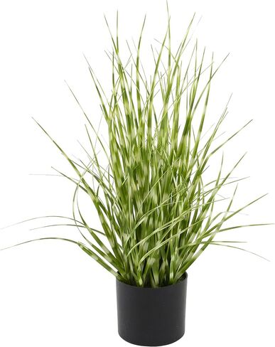 بوسطن إنترناشيونال عشب الزينة الاصطناعي ديكور المنزل نبات منزلي داخلي في وعاء بلاستيكي، 55.88 سم، ذيل الكلب العنابي in Kuwait