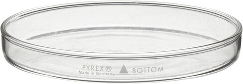 Pyrex 3160-102 Brand 3160 Petri Dish; 100 x 20 mm, Pack of 12 in Saudi Arabia