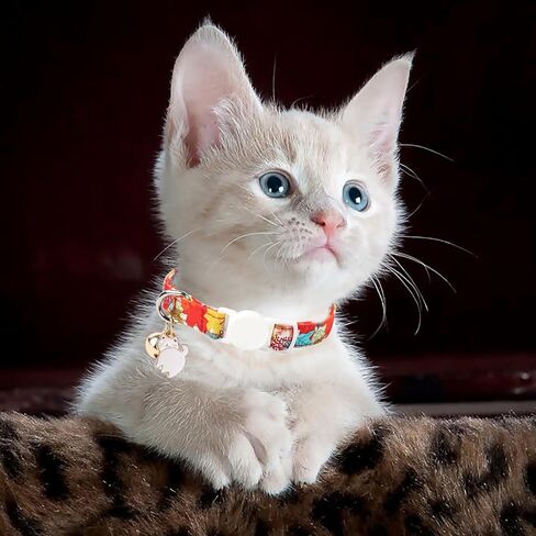 Unique style paws 2 Pack Autumn Halloween Kitten Collar Breakaway with Bell&Pendant, Adjustable Safety Coloeful Orange Brown Grid Cat Cotton Collar for Girl Boy Cat and Small Pet in Kuwait