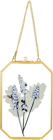 5.83 x 8.07 Inch Double Glass Frame for Pressed Flowers with Chain,Picture, Pressed Dried Flowers, Plant Specimen - Home Wall Hanging Decor, Octagon, Gold, Handmade (Gold-S) in Saudi Arabia