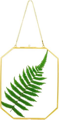 5.83 x 8.07 Inch Double Glass Frame for Pressed Flowers with Chain,Picture, Pressed Dried Flowers, Plant Specimen - Home Wall Hanging Decor, Octagon, Gold, Handmade (Gold-S) in Saudi Arabia