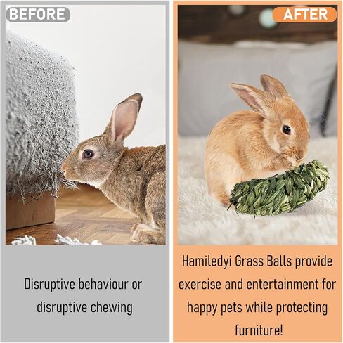 Hamiledyi Bunny Grass Ball 4 Pcs Rabbit Natural Timothy Grass Small Animal Activity Play Chew Toy for Hamster Guinea Pigs Gerbils in Kuwait