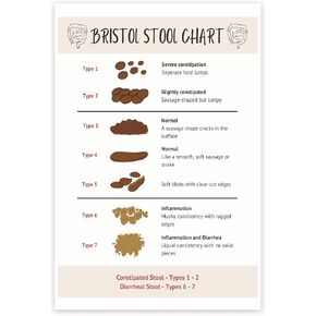 Bliss Monkey Co. Bristol Stool Chart Poster - Gastrointestinal Health Chart - Digestive System Poster - Poop Consistency 12 x 18 Inch Poster - Unframed - Premium 100lb Gloss - Made In USA - BMCP0523