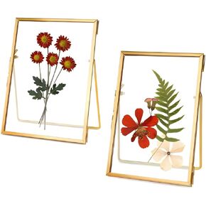 2 قطعة من إطارات الصور العائمة الذهبية DIY إطار صورة زجاجي هدايا مقاس 5 × 7 بوصة إطارات زهور معدنية عائمة شفافة مضغوطة لتزيين سطح المكتب الفني (مستطيل) in Kuwait
