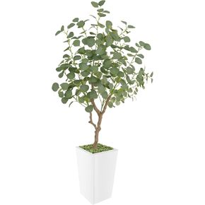 Artificial Eucalyptus Tree 6FT, Faux Eucalyptus Tree with Tall White Planter, Realistic Leaves & Natural Wood Trunk, Ideal for Home Decor and Housewarming Gift