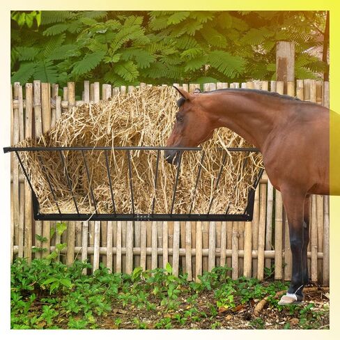 Goat and Horse Hay Feeder 31.5 x 15.5 x 22.5 in,24 Gallon Capacity Hay Feeder Goat Feeders Hanging in Saudi Arabia