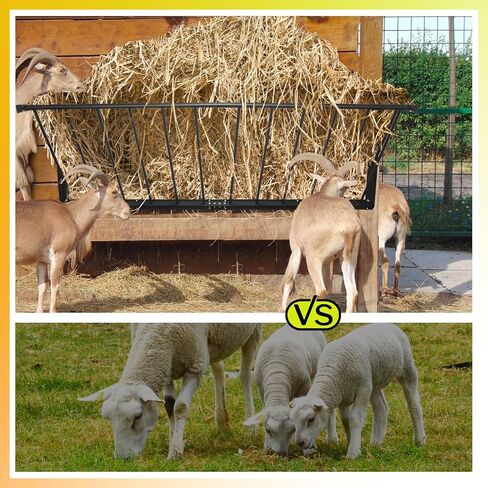 Goat and Horse Hay Feeder 31.5 x 15.5 x 22.5 in,24 Gallon Capacity Hay Feeder Goat Feeders Hanging in Saudi Arabia