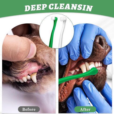 Pet Dog Toothbrush for Small Dogs Mini Head Cat Toothbrush Soft Bristles Puppy Long Handle Tooth Brush for Sensitive Gum, Dog Dental Care Kit for Puppy, Kitten, Cats Small Breed Dogs, 6Pcs in Saudi Arabia