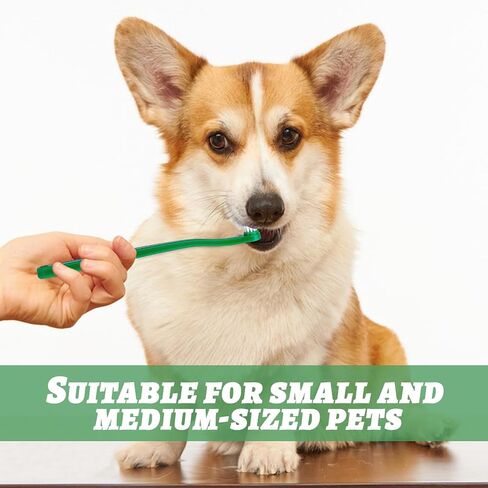 Pet Dog Toothbrush for Small Dogs Mini Head Cat Toothbrush Soft Bristles Puppy Long Handle Tooth Brush for Sensitive Gum, Dog Dental Care Kit for Puppy, Kitten, Cats Small Breed Dogs, 6Pcs in Saudi Arabia