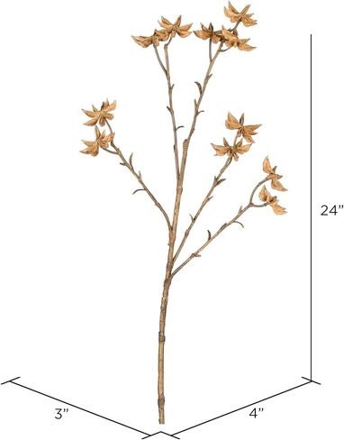 Vickerman Everyday 24" Artificial Beige Illicum Verum Spray - Faux Floral Decor - Home Or Office Arrangement Accent - Maintenance Free - 4 Pack in Saudi Arabia